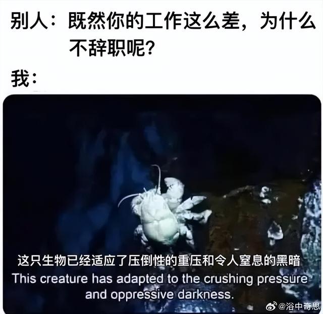 一打开，那就是童年阴影 | 冷段子3585 & 去年今日3230