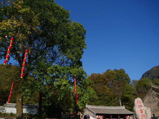 来体验,你没见过的小镇四季!