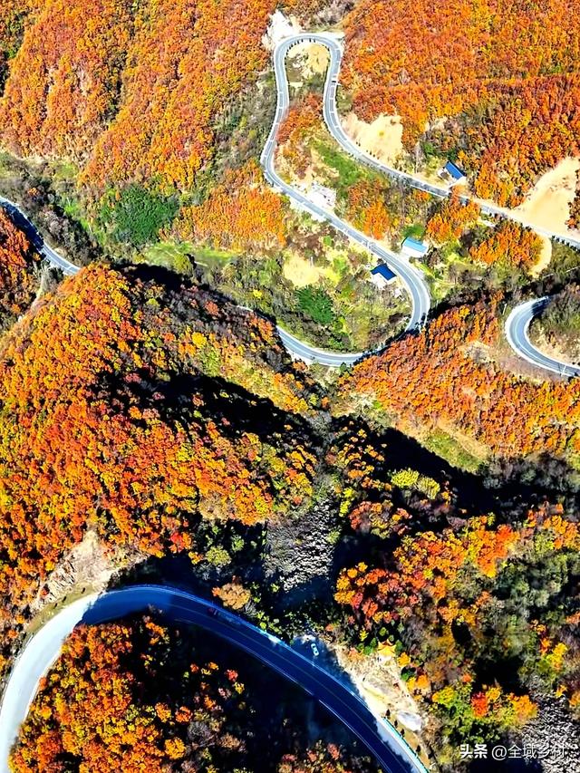 自驾线美到封神！90%河南人不知道的豫西秋色，现在去刚刚好