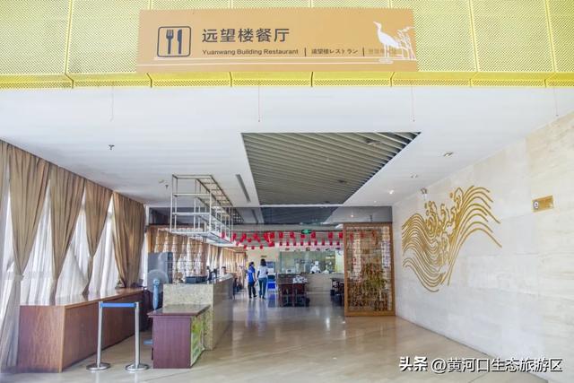 【黄河口生态旅游区】以湿地为笺，用候鸟作笔 —— 致教师的自然礼赞