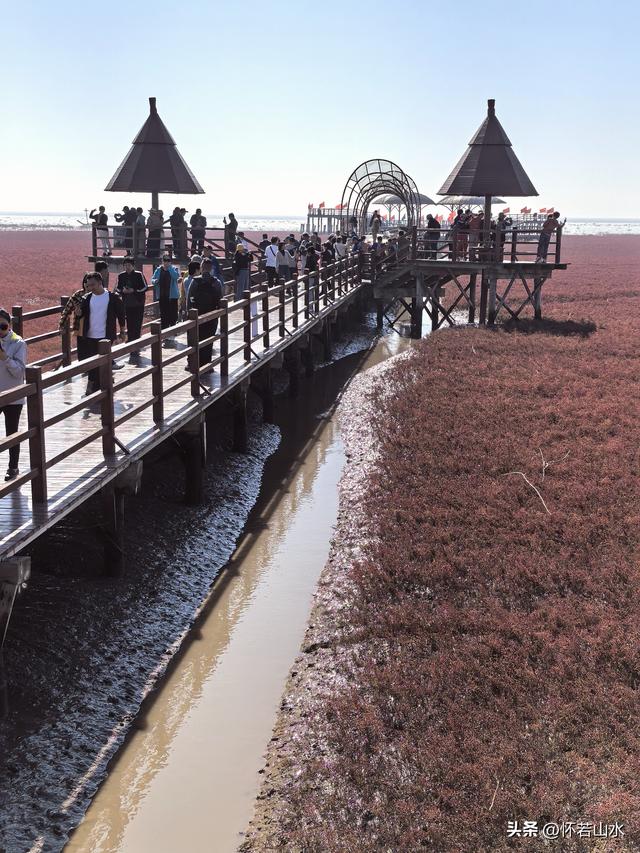 2025辽宁赏秋之旅日记(5)——从本溪前往盘锦 游览红海滩景观