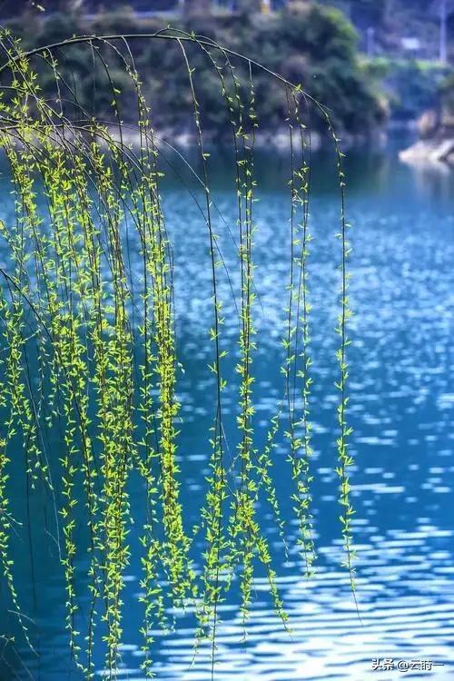 不是迷信！明日腊八节，建议大家：1不出、2不泡、3要吃	，别大意