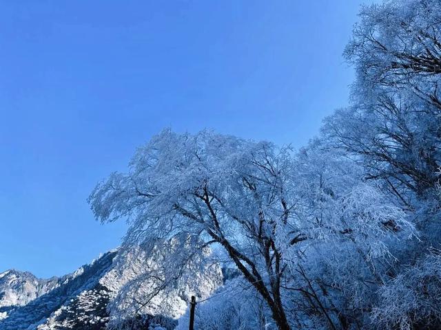 看！我就说汶川的冬天超好玩吧