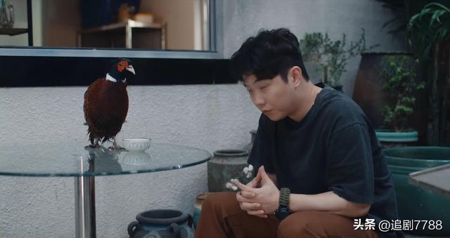 《七根心简》大结局32集：一万三跳崖，红姨遗憾，罗韧却逆袭