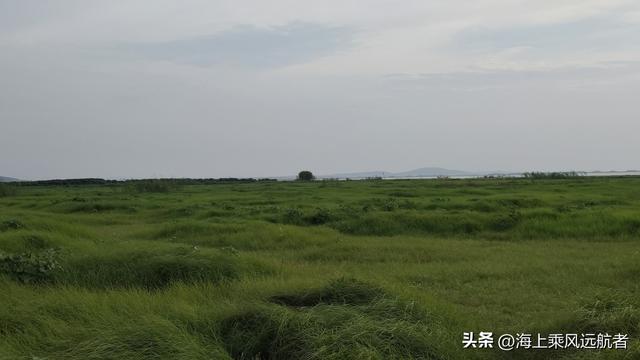 别再找秋天的海了！南京溧水这片草海才是顶流，我已去过了