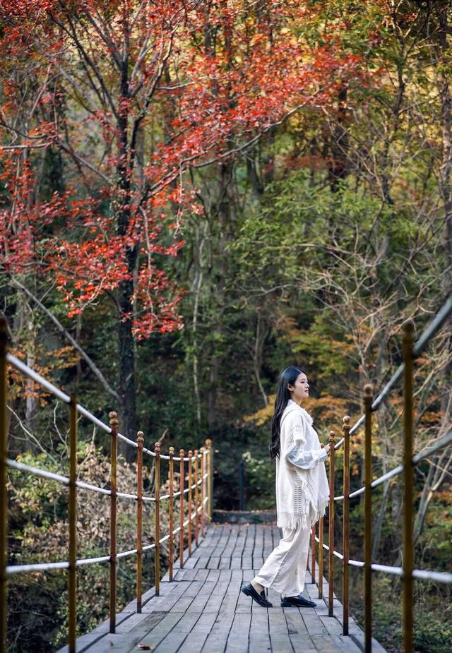 这周都是好天气！黄陂登山徒步赏秋趣！