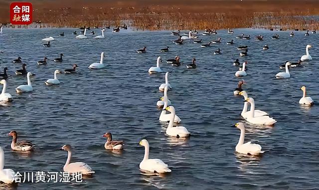 2025年12月11日 渭南文化旅游资讯微报（组图）