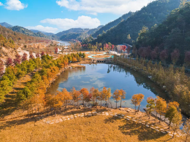 韶关晚秋“神仙景致”：云海、奇峰、秋叶奏响绝美“三重奏”！