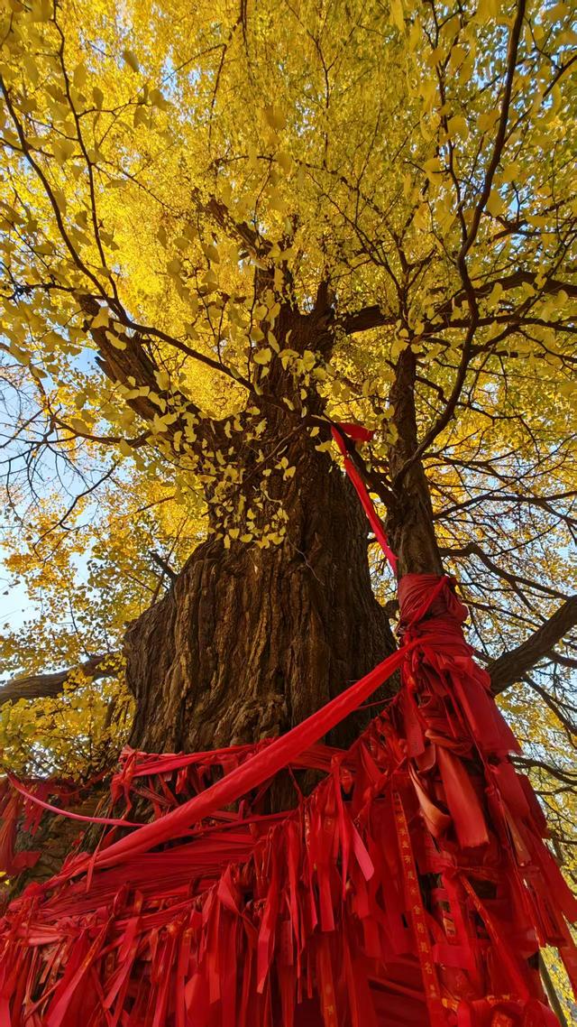 公冶长书院的文化融合