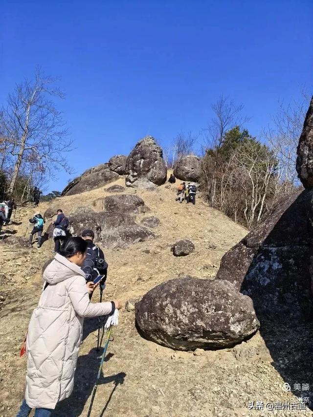 邂逅2026年的第一场醉美雾凇！温州四海山的雾凇美爆了！