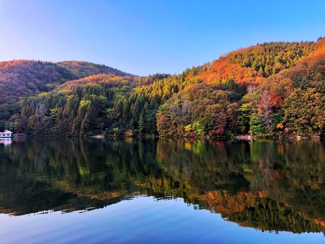 桂花香里漫步杭州：这5条治愈系路线，都是从一缕桂花香开始的！