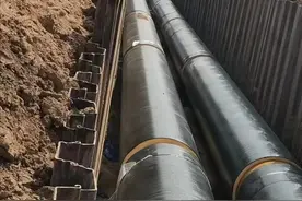 德州一占耕地1500余亩投资100亿元的项目，到底做什么用途？图片