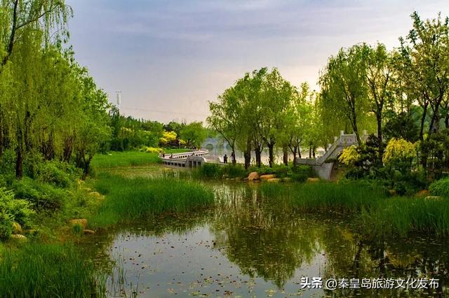 今年暑期,秦皇岛文旅热度攀升,持续“霸榜”!一起回顾秦皇岛夏日记忆~