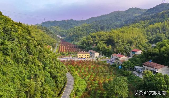 湖南这12条路美出了名，哪条路过你家？