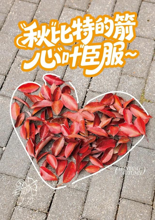 汉阳的秋天也太会了，“捡秋”比赏秋更上瘾