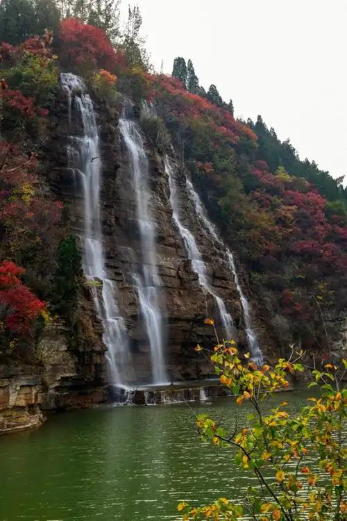 广东哪里赏秋?四条绝美自驾路线遇见南国红叶黄叶
