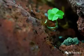 单位上，领导问你“要不要去别的岗位试试”，情商低的人只会说“不想”，情商高的人是这样说的图片