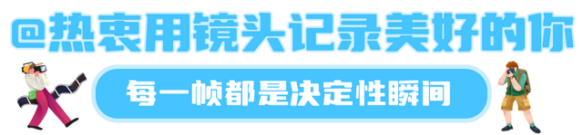古树观鸟图鉴—4大主题20条线！玩转黄山→ | 皖美夏日