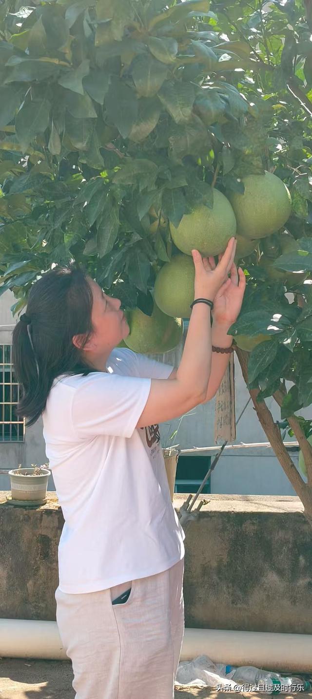 品味鄱阳湖大闸蟹，感受秋天的鲜美