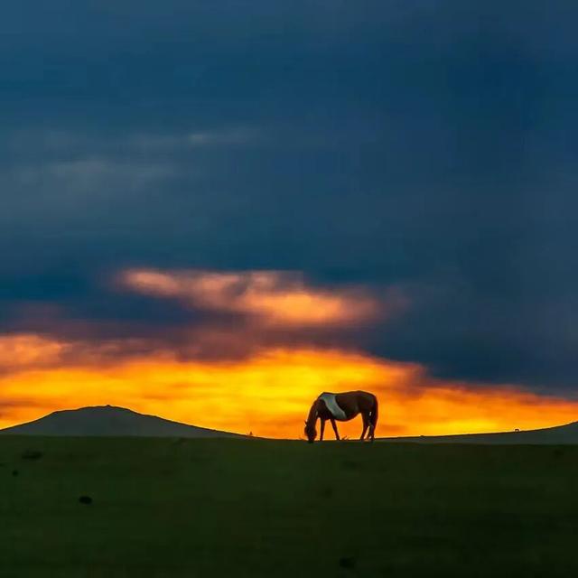 燕南赵北‖光影草原