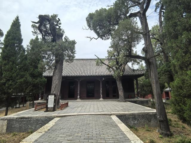 山东邹城游记