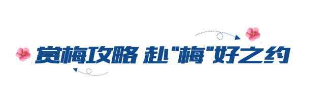 大寒至，春可期，昆明这些地方繁花似锦！
