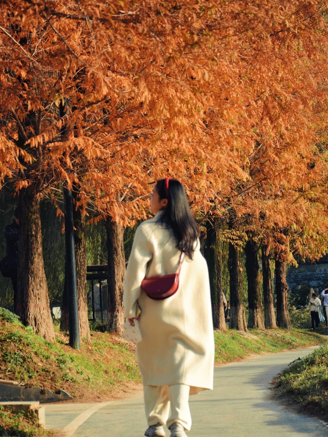 西安城区4个绝美秋景打卡地！