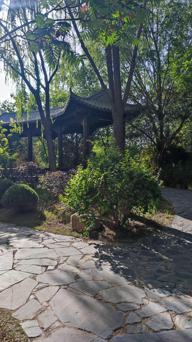 银川花博园真的好大，好大，是我见过的最大的花园