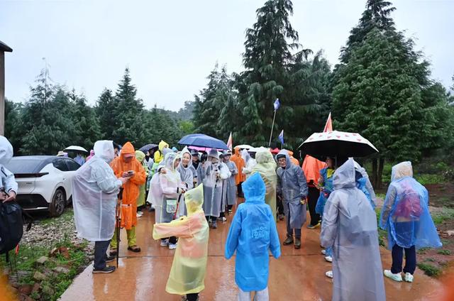 24城，798人，近100小时！明亚&安盛天平公益活动圆满举行!