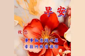 最新款早上好的暖心句子，早安高情商问候，温馨祝福送给你图片