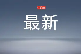 住房租赁条例（全文）图片