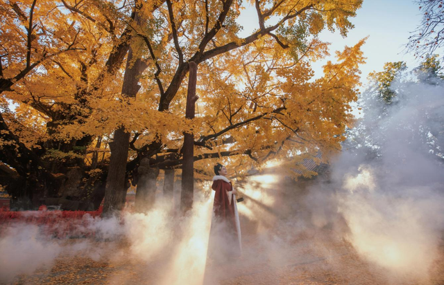 “县”在出发！解锁莒县的N种玩法！