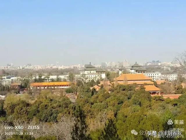 北京景山公园羽衣，冬园锦色｜申艳娟