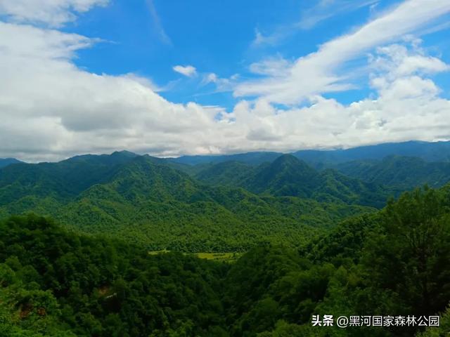 九月的黑河，一半是山野的绿意，一半是秋天的凉风