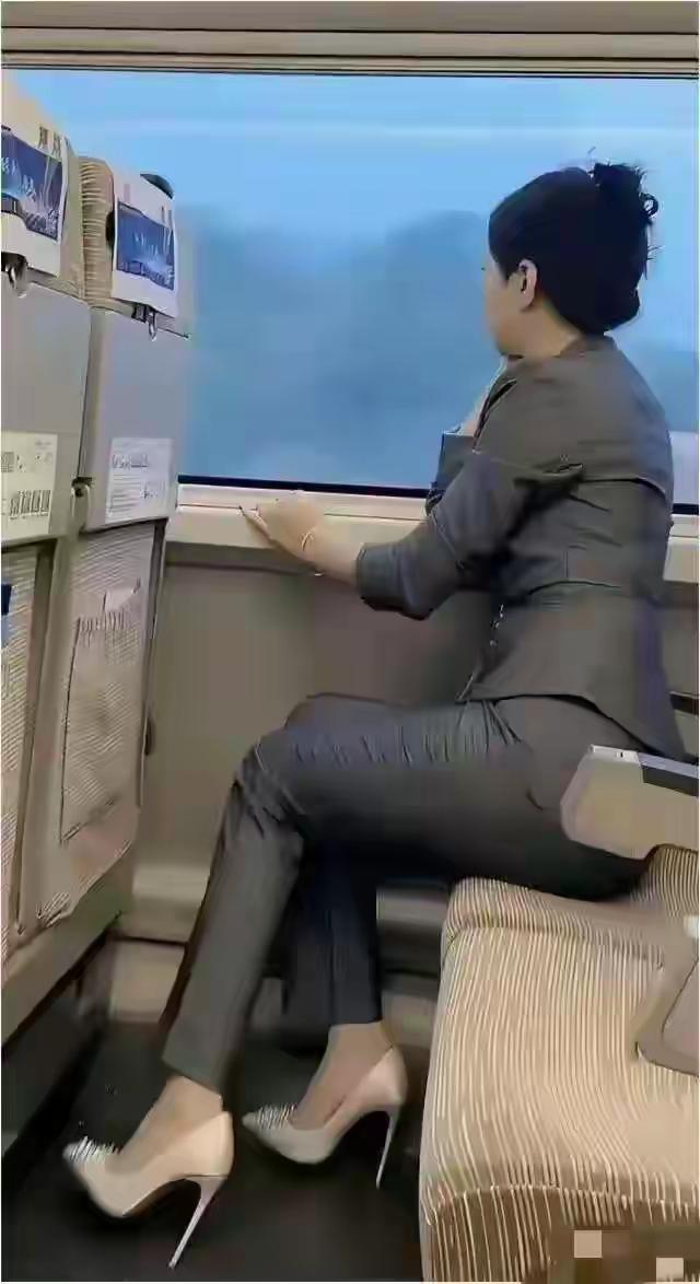 高铁上看到如此精致的女人，看样子是个成功人士，啥人能配上她呢