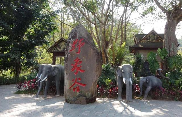 我国最长的国道——219国道