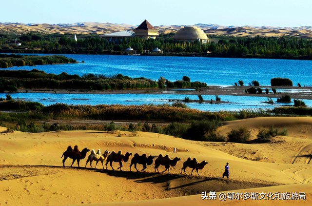 银发乐游线路：杭锦旗慢游深体验