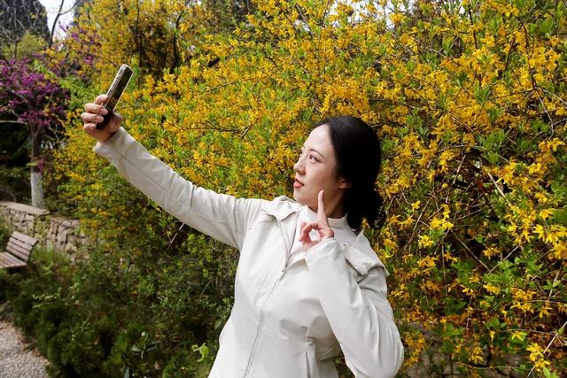 踏青赏花不负春光