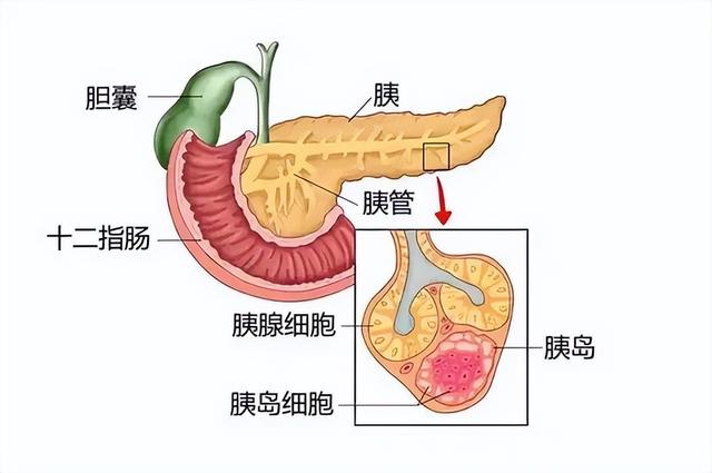 南瓜再次被关注！医生发现：胰腺炎患者吃南瓜时，一定留心这6点