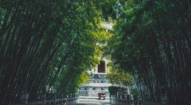 带娃必看！钻溶洞、寻“化石”、访古刹，这条线路边玩边学超带感