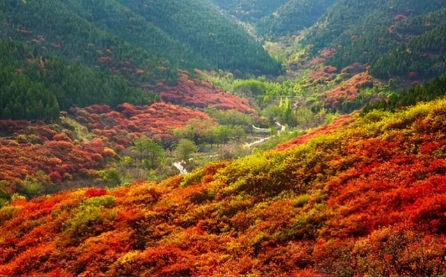 错峰出游，临朐这三程山野里的秋也很美