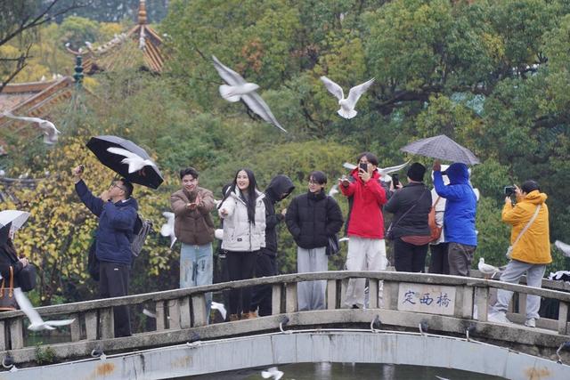 【外眼看云南】以脚步丈量，用镜头传播：他们成为和美云南“海外代言人”