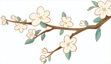 来泰宁古城，邂逅“神仙妹妹”......