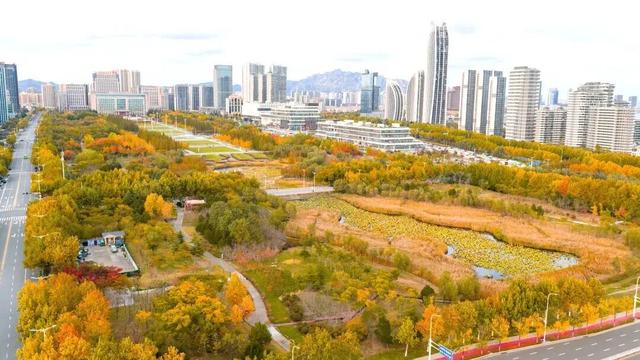 打卡限时浪漫，一键收藏隐珠街道最美秋色！