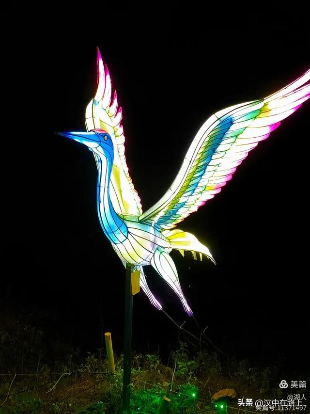 当光影遇上森林,汉中的夏夜如此动人清凉!