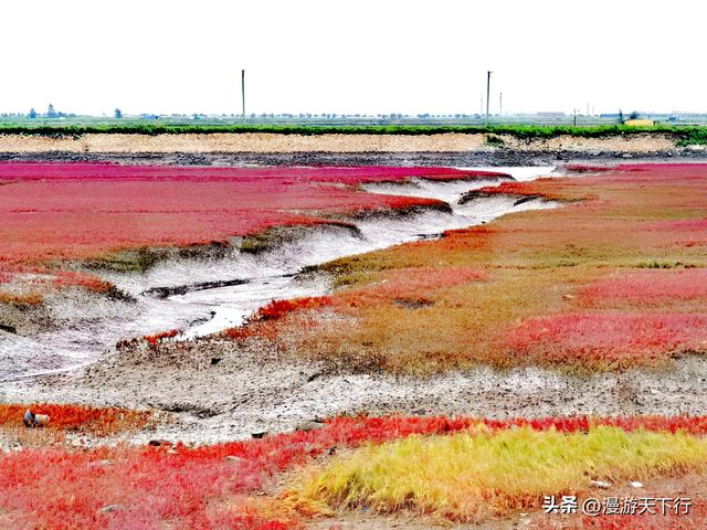 分享一个免费的红海滩，景色一点不差盘锦红海滩，