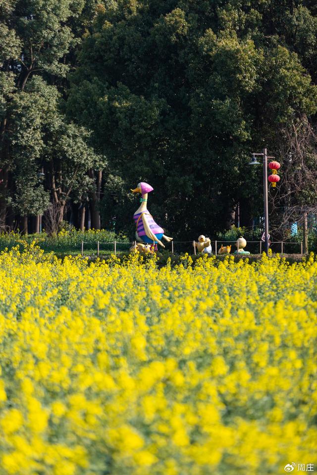 节后第三天，在周庄给自己“放风”。