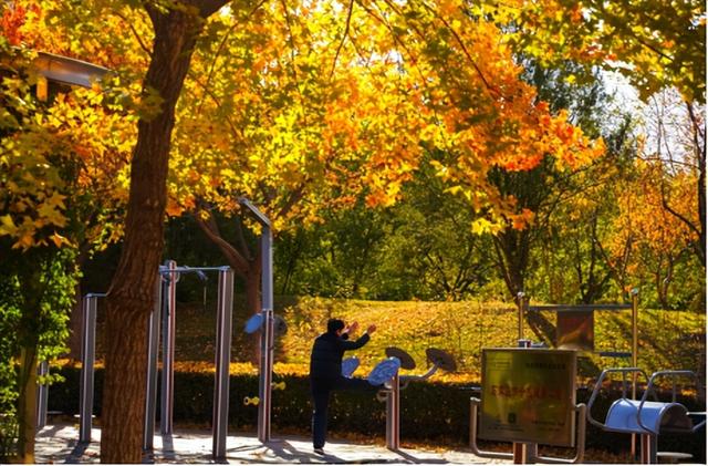 一叶知秋！2025年石家庄市城区赏秋指南来啦 这些地方别错过