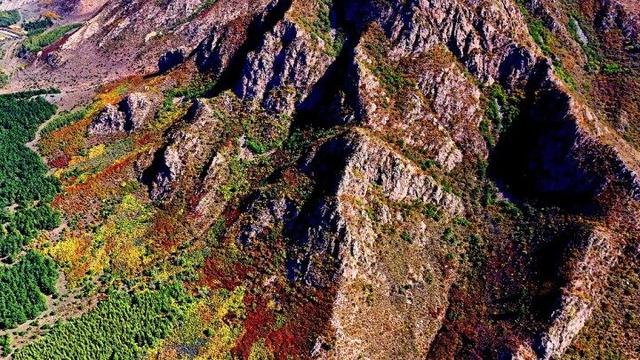 走进赤峰马鞍山林场 邂逅绚烂山林秋色
