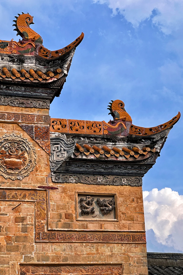 先收藏！成都1h直达最美水杉公园，小众人少、景美出片！